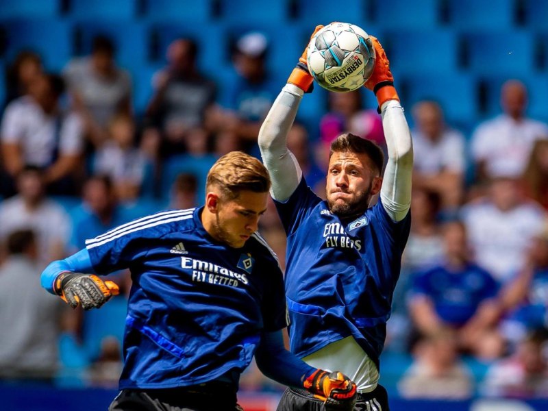 hamburger-sv-towart.jpg