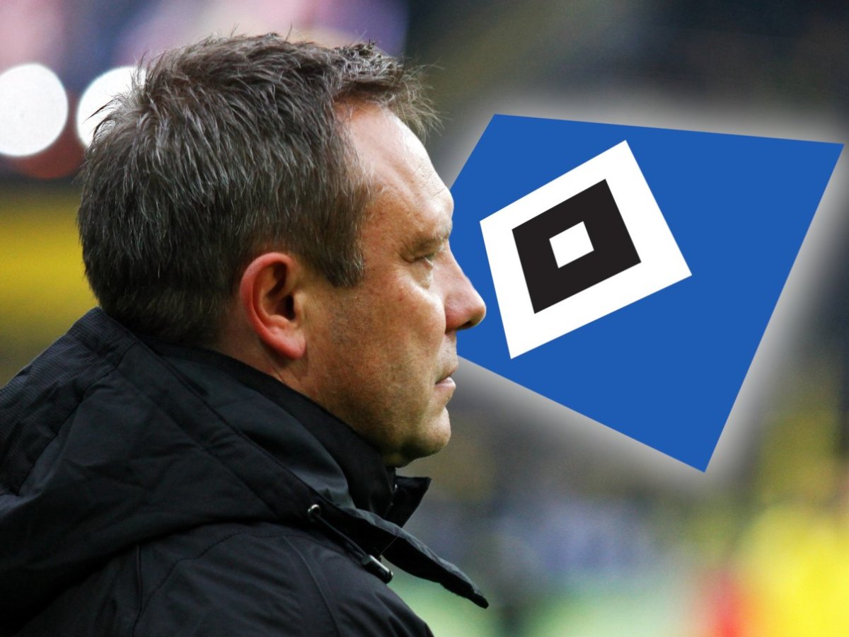 hamburgersv-breitenreiter.jpg