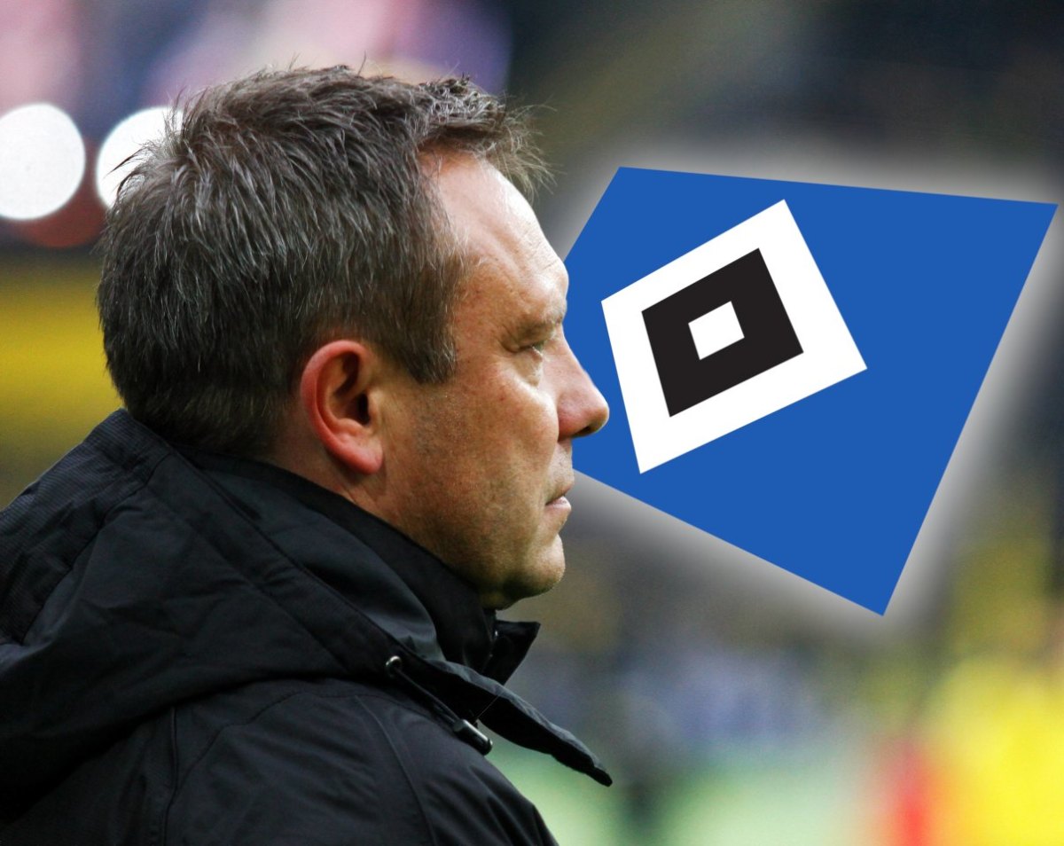 hamburgersv-breitenreiter.jpg