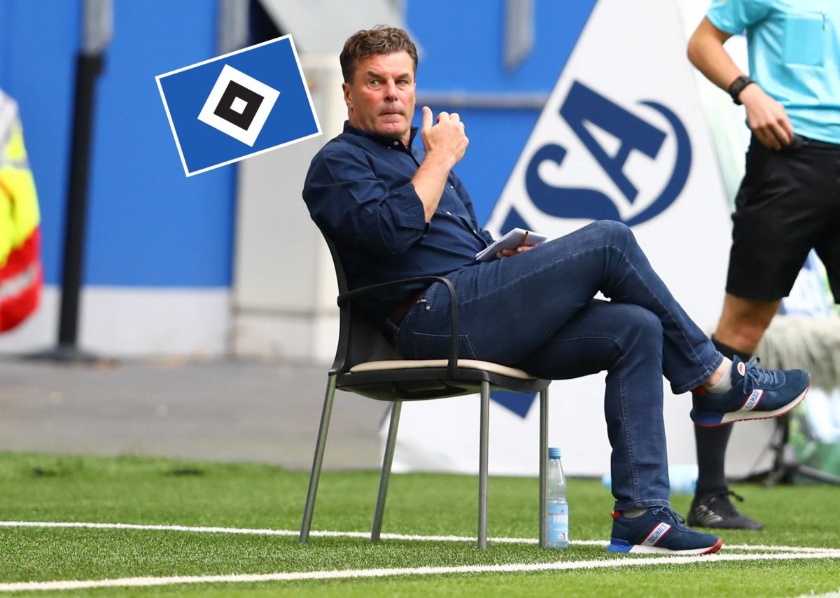 hecking-hsv