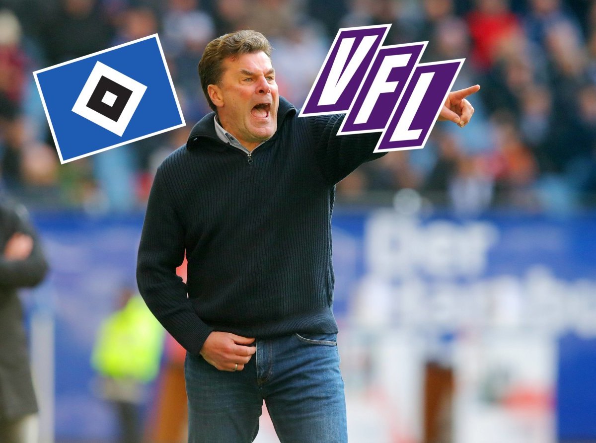 hsv-hamburg-osnabrück-hecking