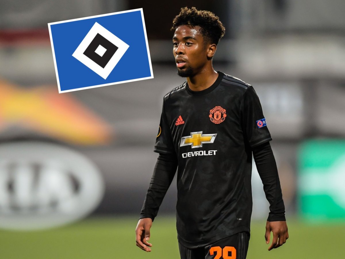 hsv-hamburger-sv-angel-gomes