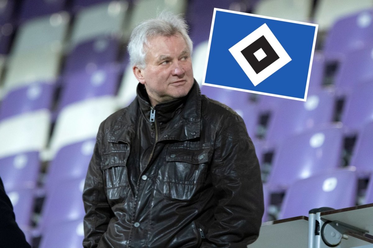 hsv-hamburger-sv-benno-möhlmann