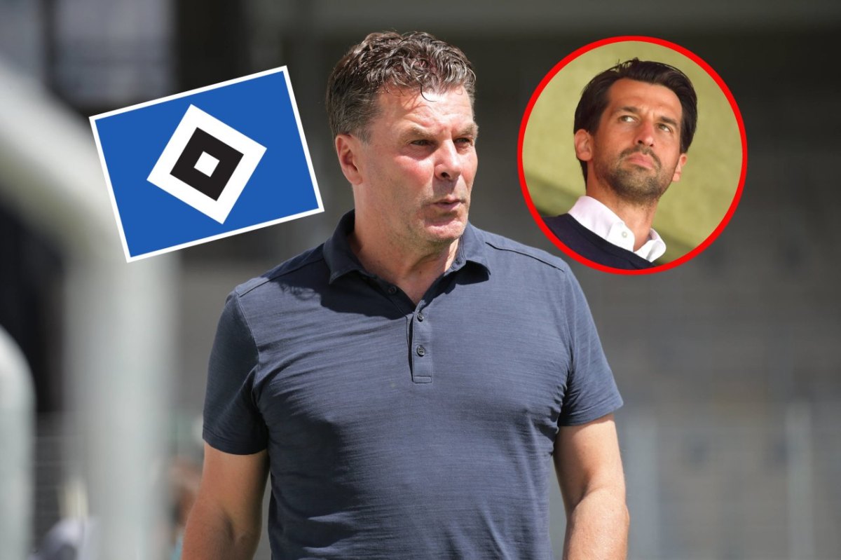 hsv-hamburger-sv-hecking