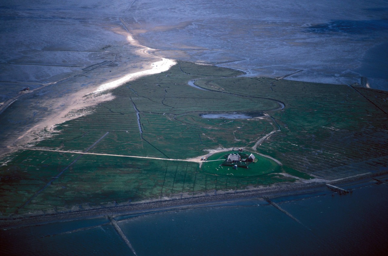 Rund um die Hallig Südfall befinden sie Überreste mittelalterlicher Siedlungen. 