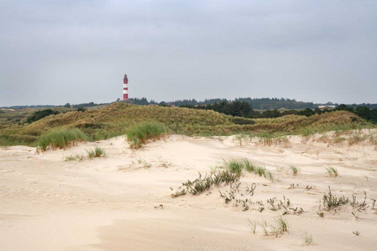 Amrum_Ferienhaus.jpg