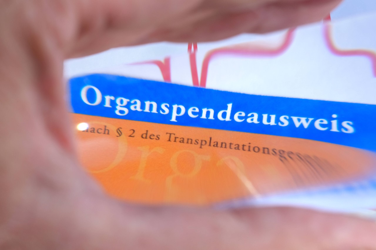 Sie sind klein und handlich wie EC-Karten: Organspendeausweise.