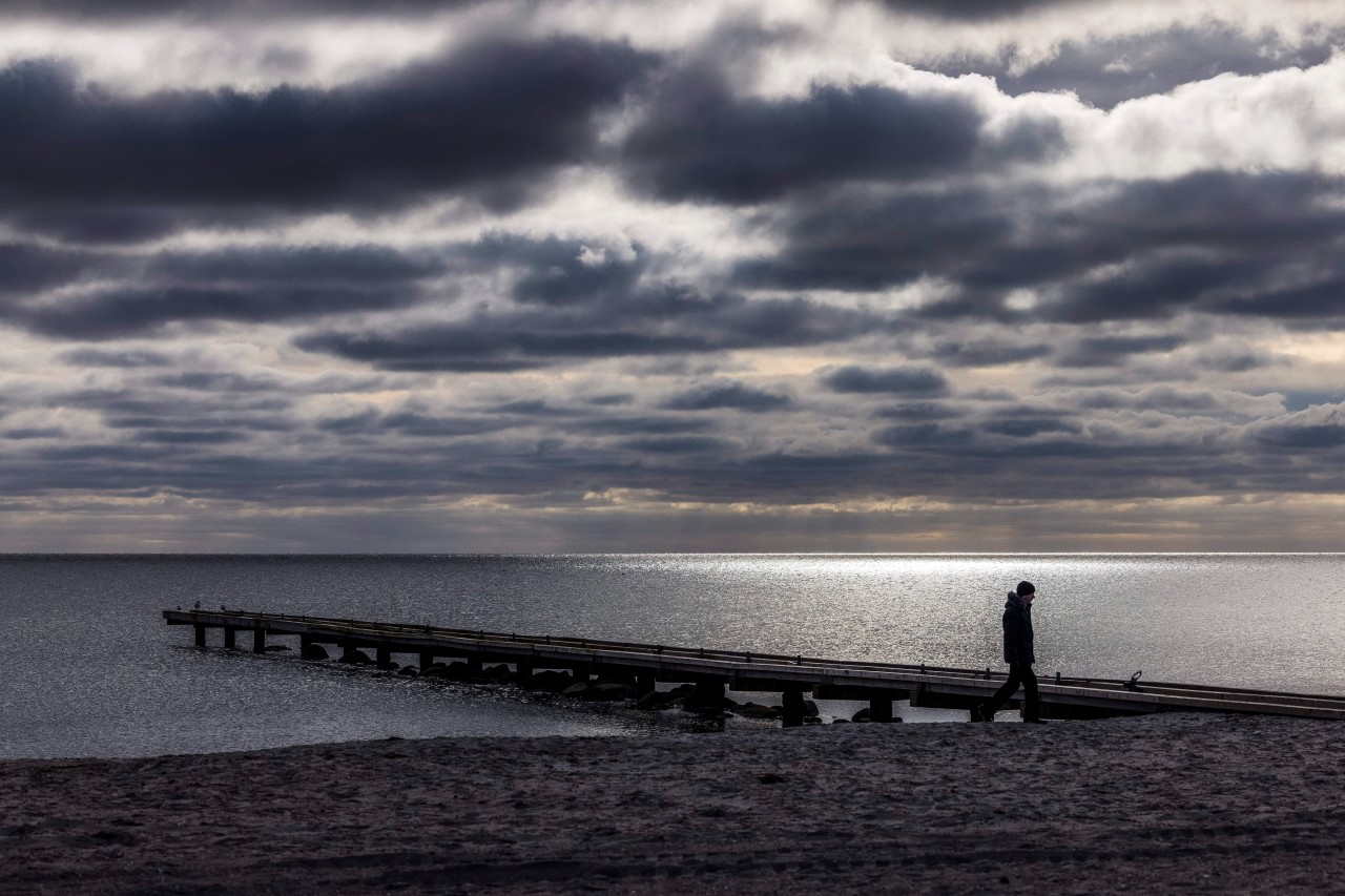 Ein Spaziergänger auf Fehmarn.