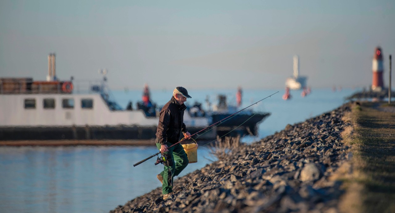 Ostsee und Nordsee: Ab dem 12. März ist jeder Fisch auf deutschen Tellern importiert. 