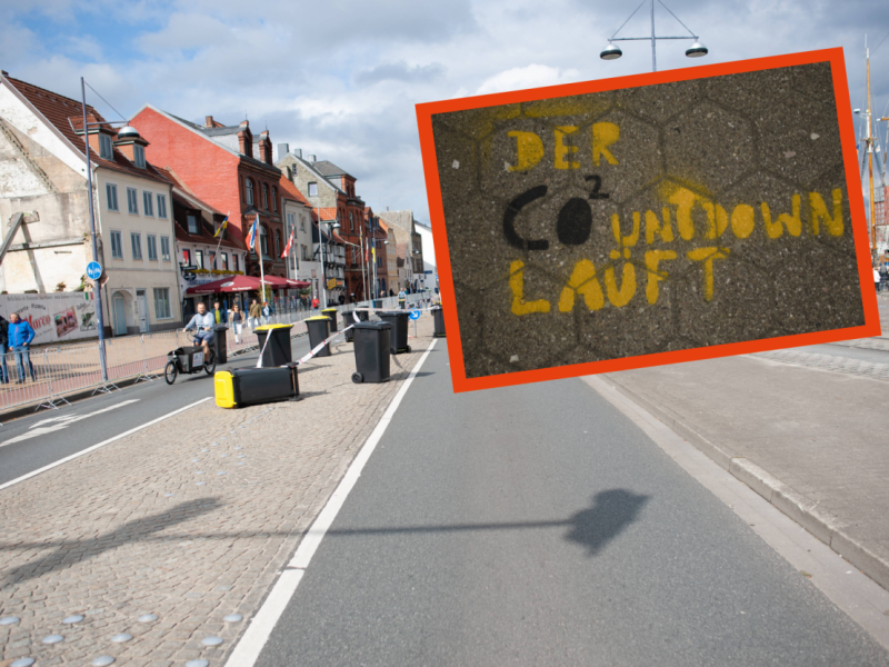 Flensburg Klimaschutz Ziele CO2 neutral Appell Olav Hohmeyer Universität Klimakonferenz
