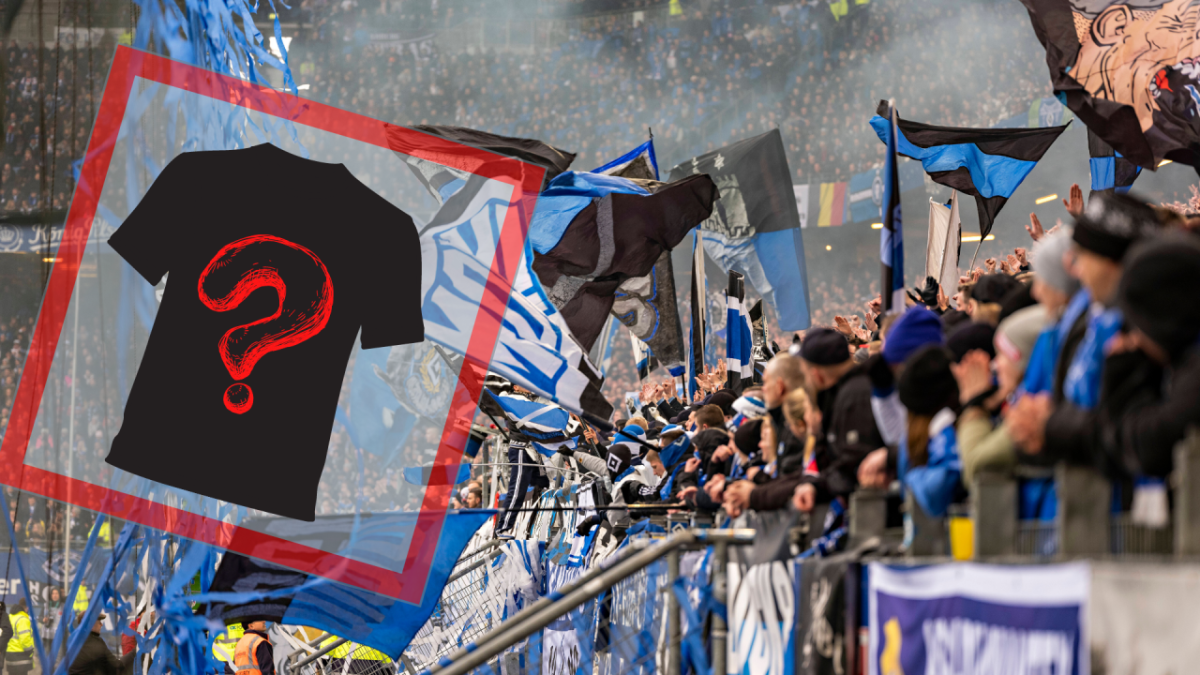 HSV neues Trikot.png