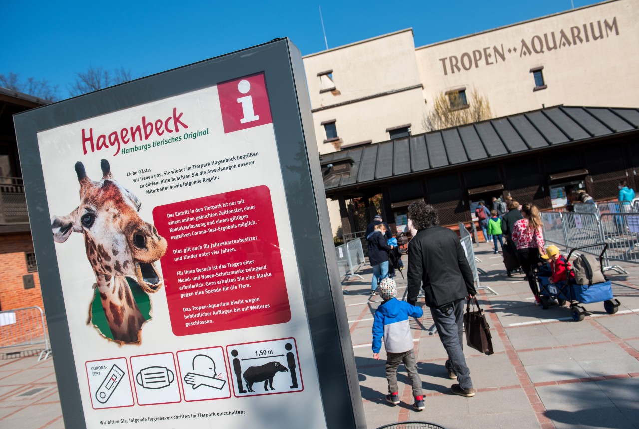 Der Tierpark Hagenbeck empfängt seit Ende April wieder Besucher. Und hat jetzt ein neues Angebot geschaffen. 