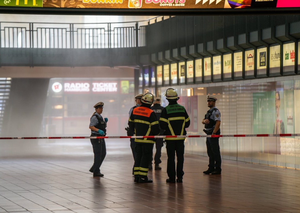 Hamburg Hauptbahnhof.jpeg