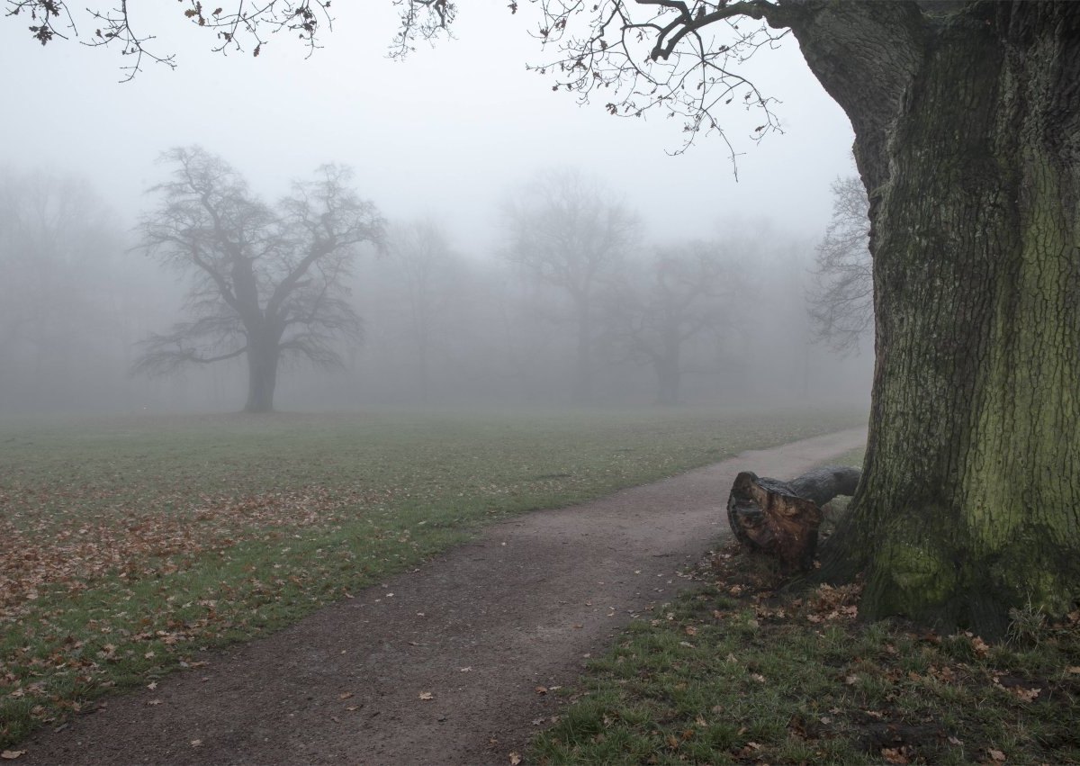 Hamburg Hunde.jpg