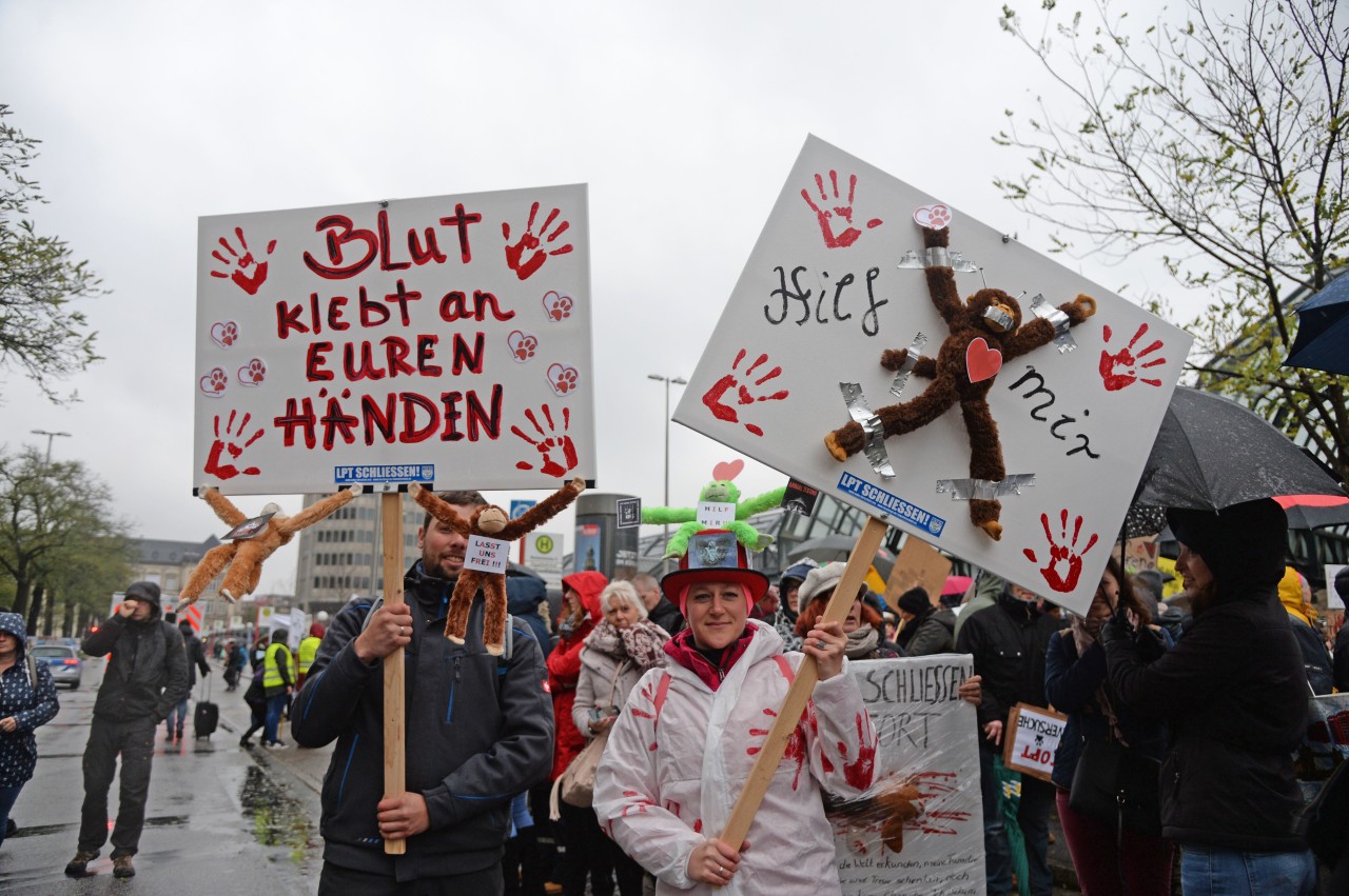 Eine Demonstration gegen das LPT im November 2019.