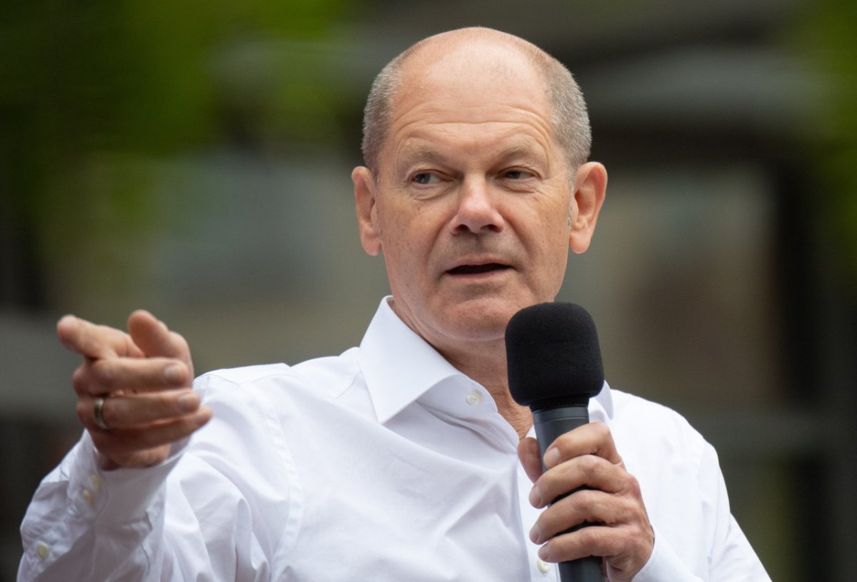 Hamburg SPD Olaf Scholz Umfrage Bundestagswahl CDU FDP GrÃ¼nen Fabio De Masi  Kanzlerkandidat