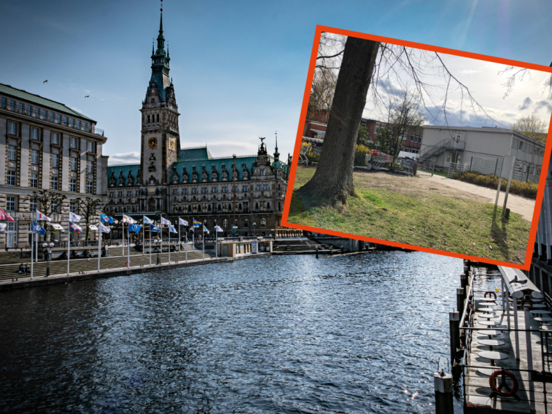 Hamburg Wandsbek Senat Fördern und Wohnen