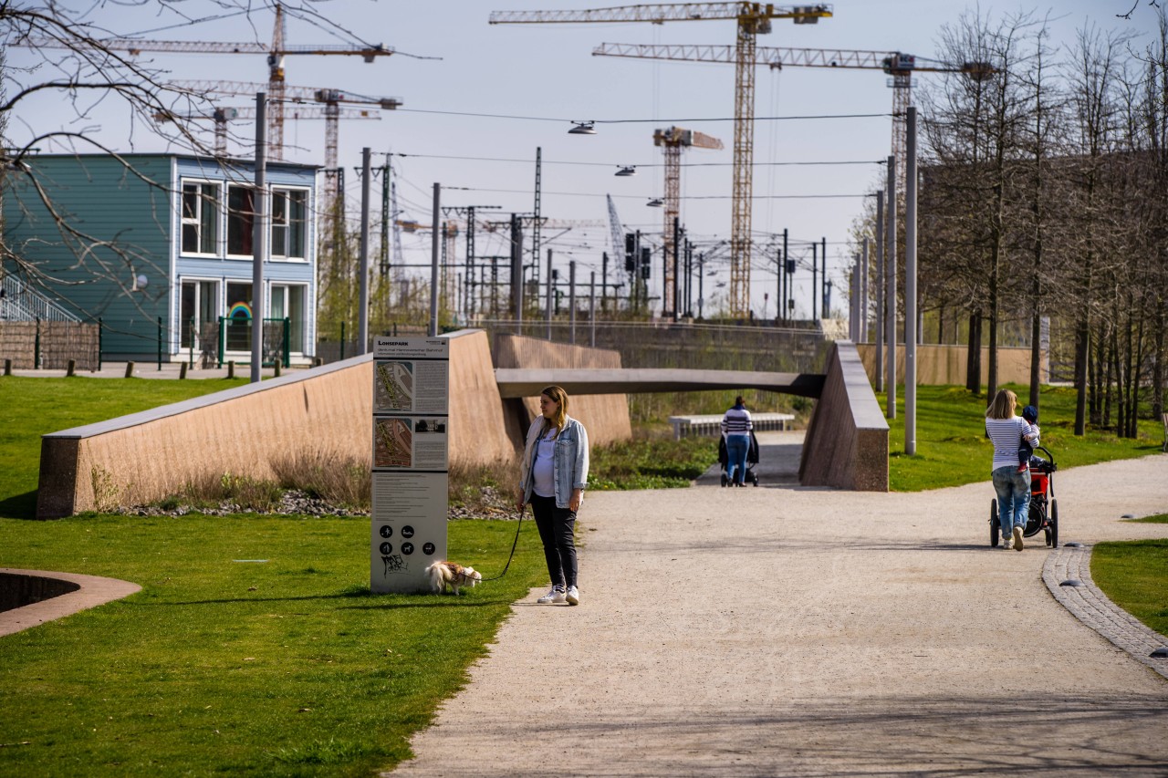 Hamburg: Im Lohsepark in der Hafencity hat ein Mann mit seinem Welpen Unfassbares erlebt (Symbolbild). 