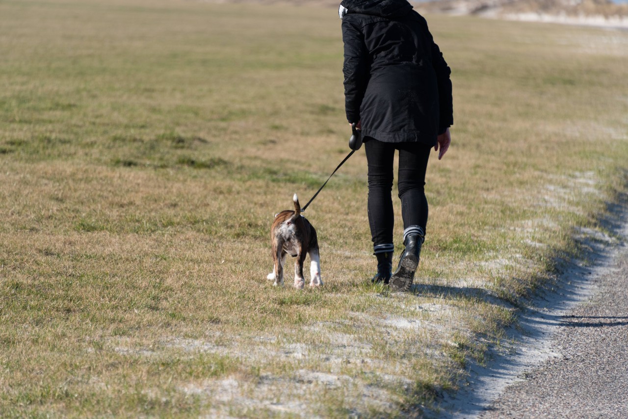 Eine Runde mit dem Hund an der Alster in Hamburg – das endete übel (Symbolbild).