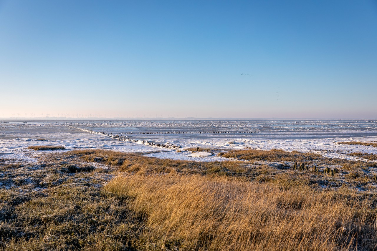 Im Meer vor Norderney haben Taucher im vergangenen Jahr einen rätselhaften Fund gemacht (Symbolbild). 