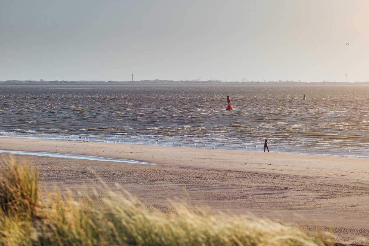 Vor Norderney haben Forscher einen seltenen Fund gemacht.