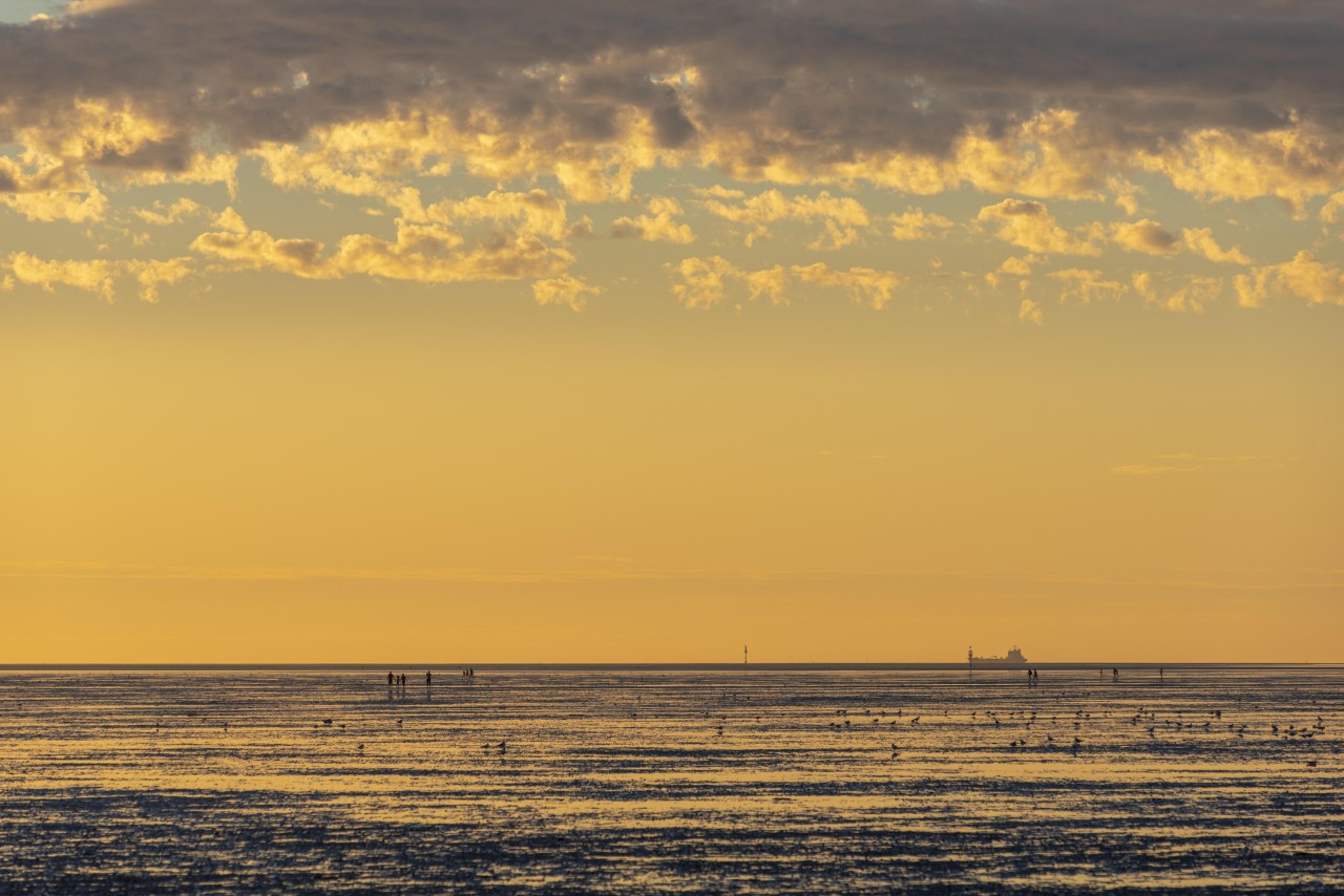 Das Wattenmeer bei Cuxhaven