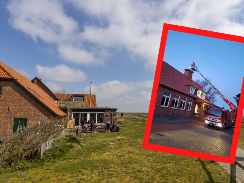 Nordsee Juist Wetterfahne Inselschule