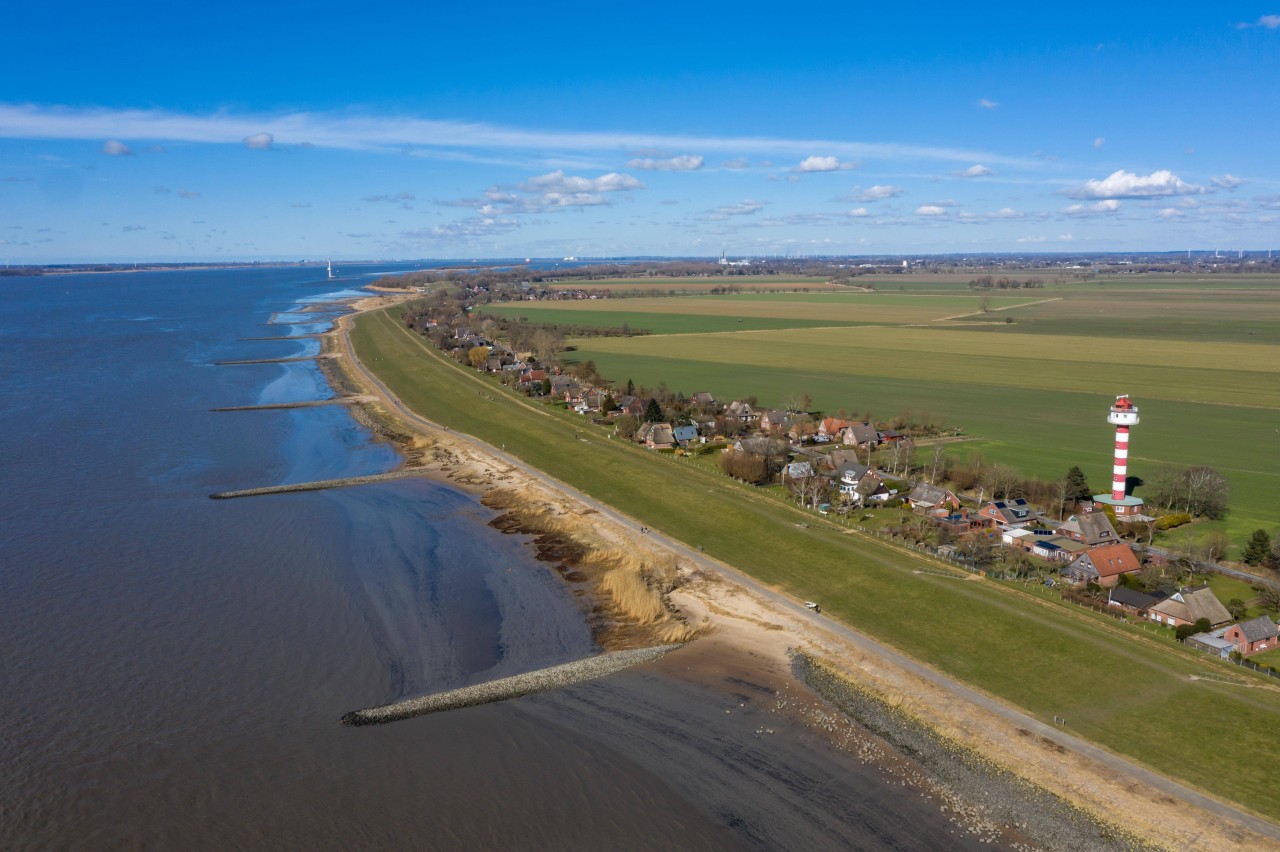 In Kollmar in der Nähe der Nordsee treibt ein Tier-Mörder sein Unwesen.