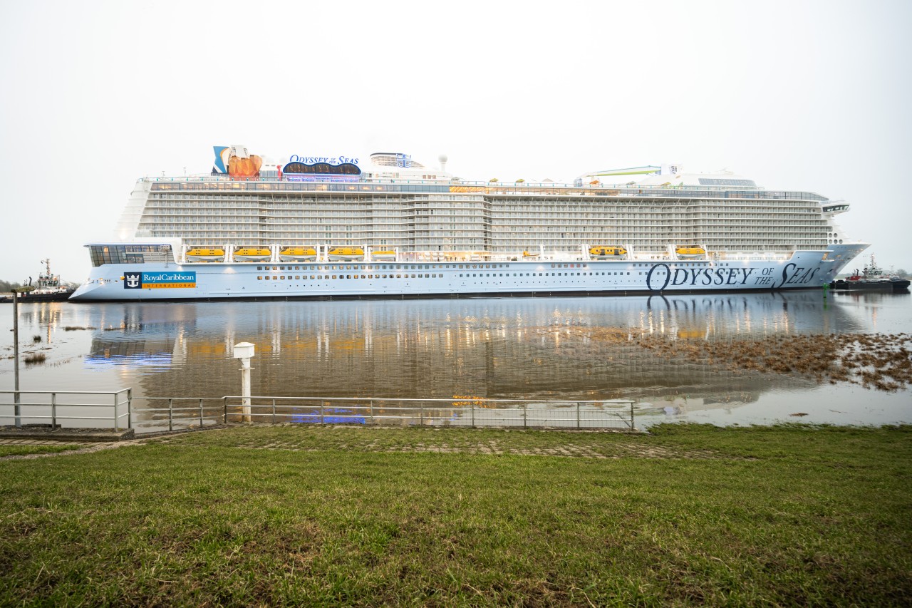 Nordsee: Die „Odyssey of the Seas“.