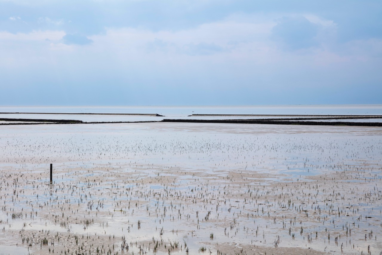 Das Watt der Nordsee kann für viele gefährlich werden (Symbolbild). 