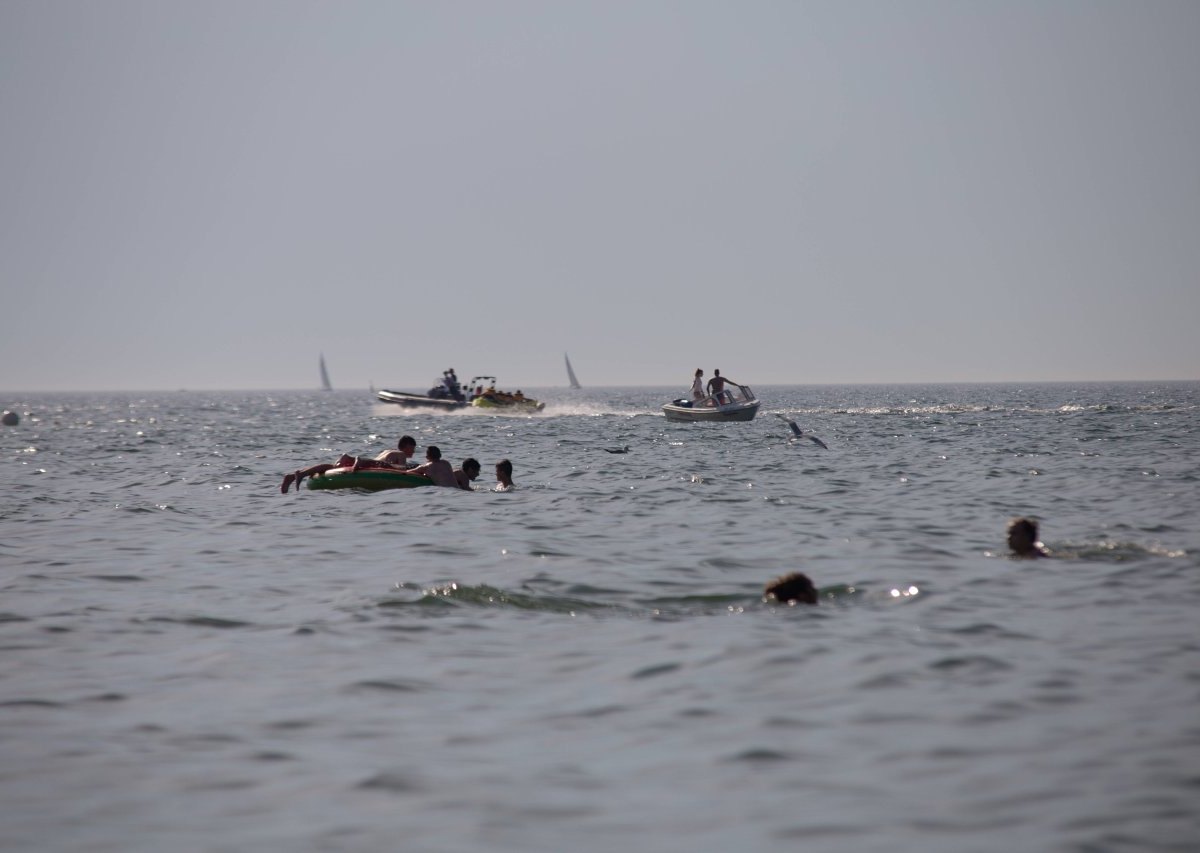 Nordsee und Ostsee.jpg