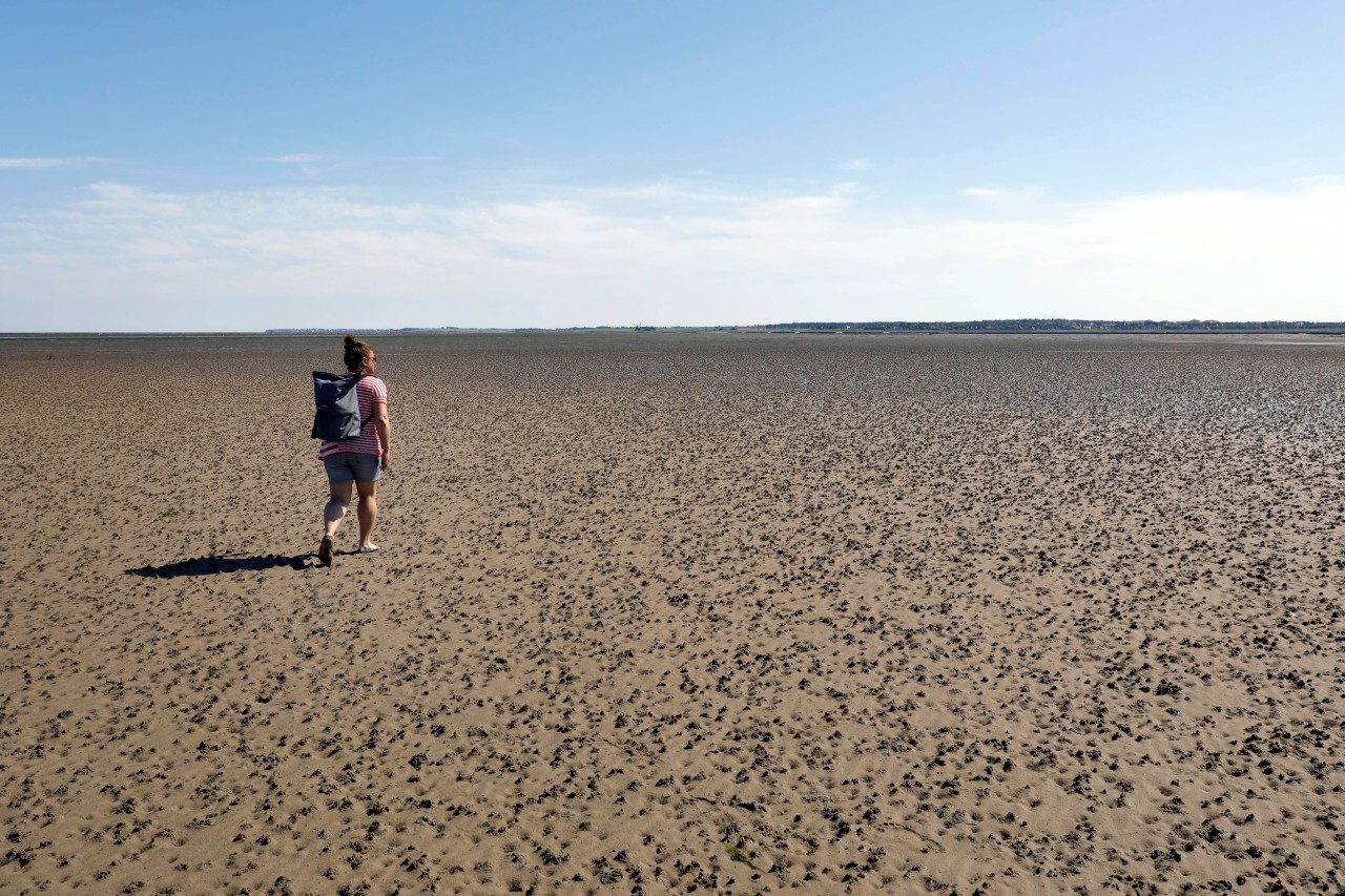 Eine Frau erlebte in der Nordsee bei einer Wattwanderung einen Schock (Symbolbild).