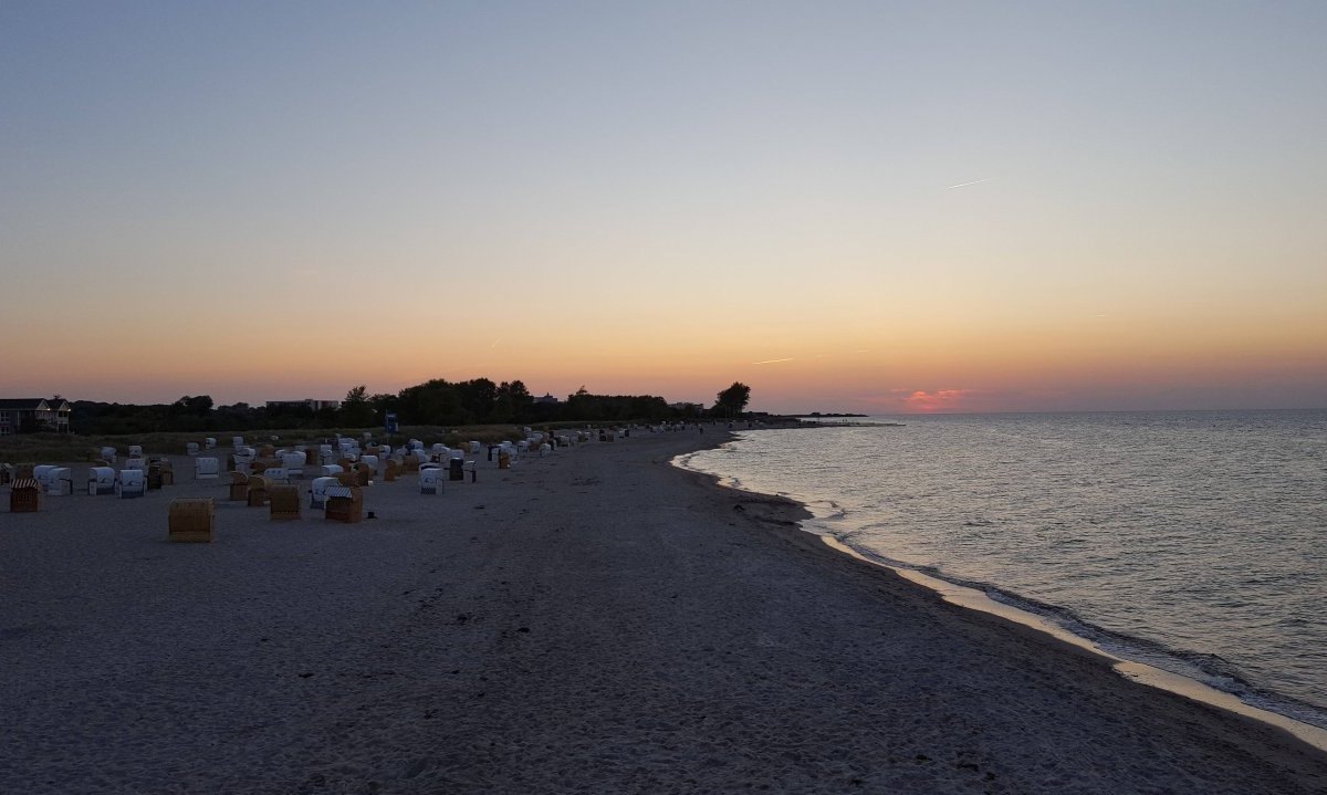 Ostsee Heiligenhafen Kühe Feuerwehr.jpg