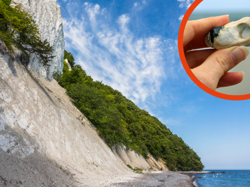 Ostsee Hühnergott.png