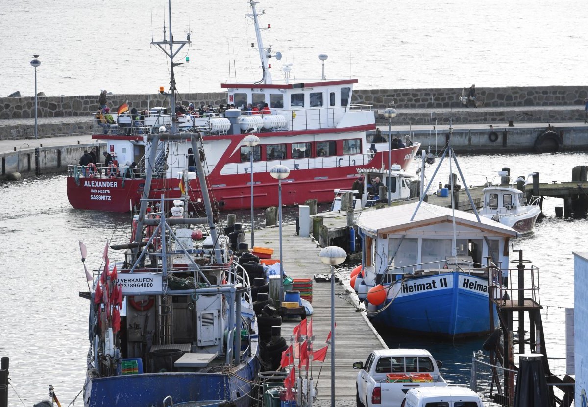 Ostsee Nordsee Fisch der Jahres Hering Hansestadt