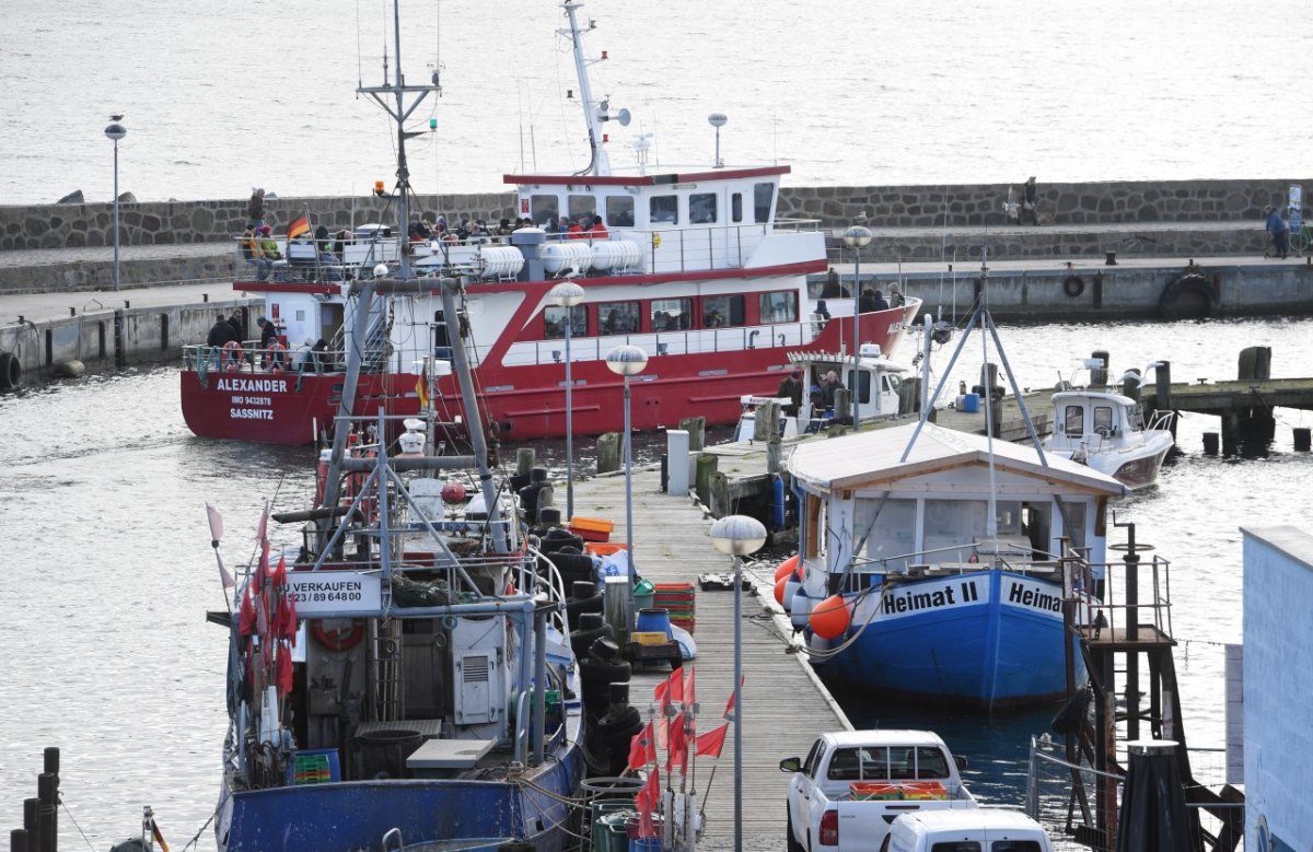 Ostsee Nordsee Fisch der Jahres Hering Hansestadt