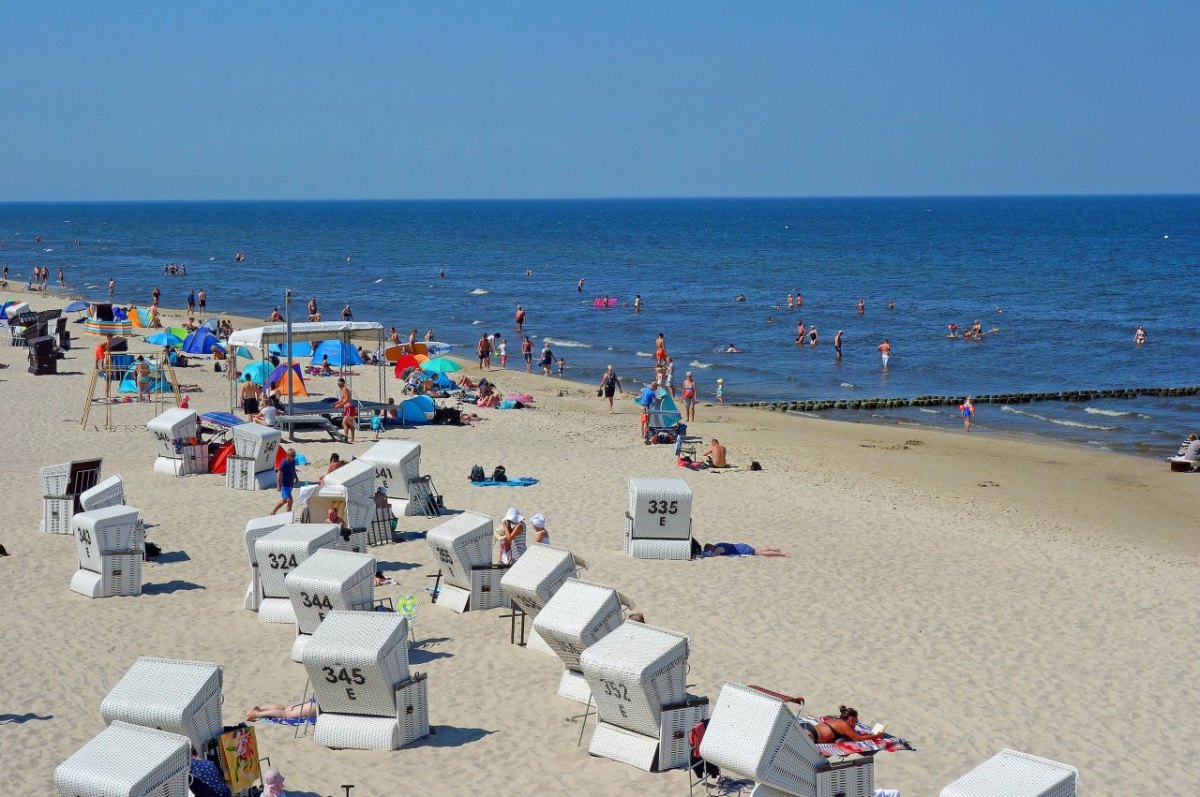 Ostsee Strand Wildschweine.jpg