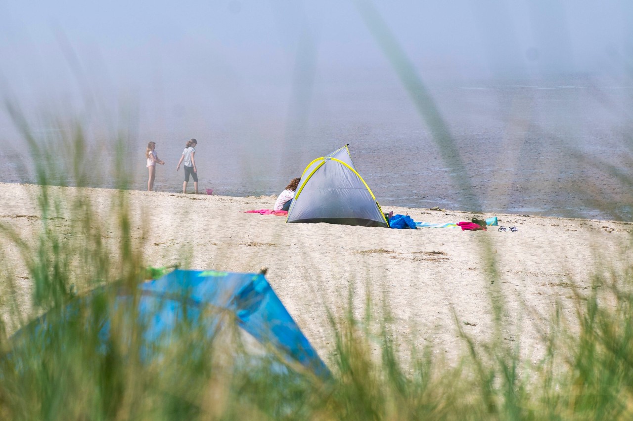 Die Aktion einer Familie an der Ostsee wird heiß diskutiert.