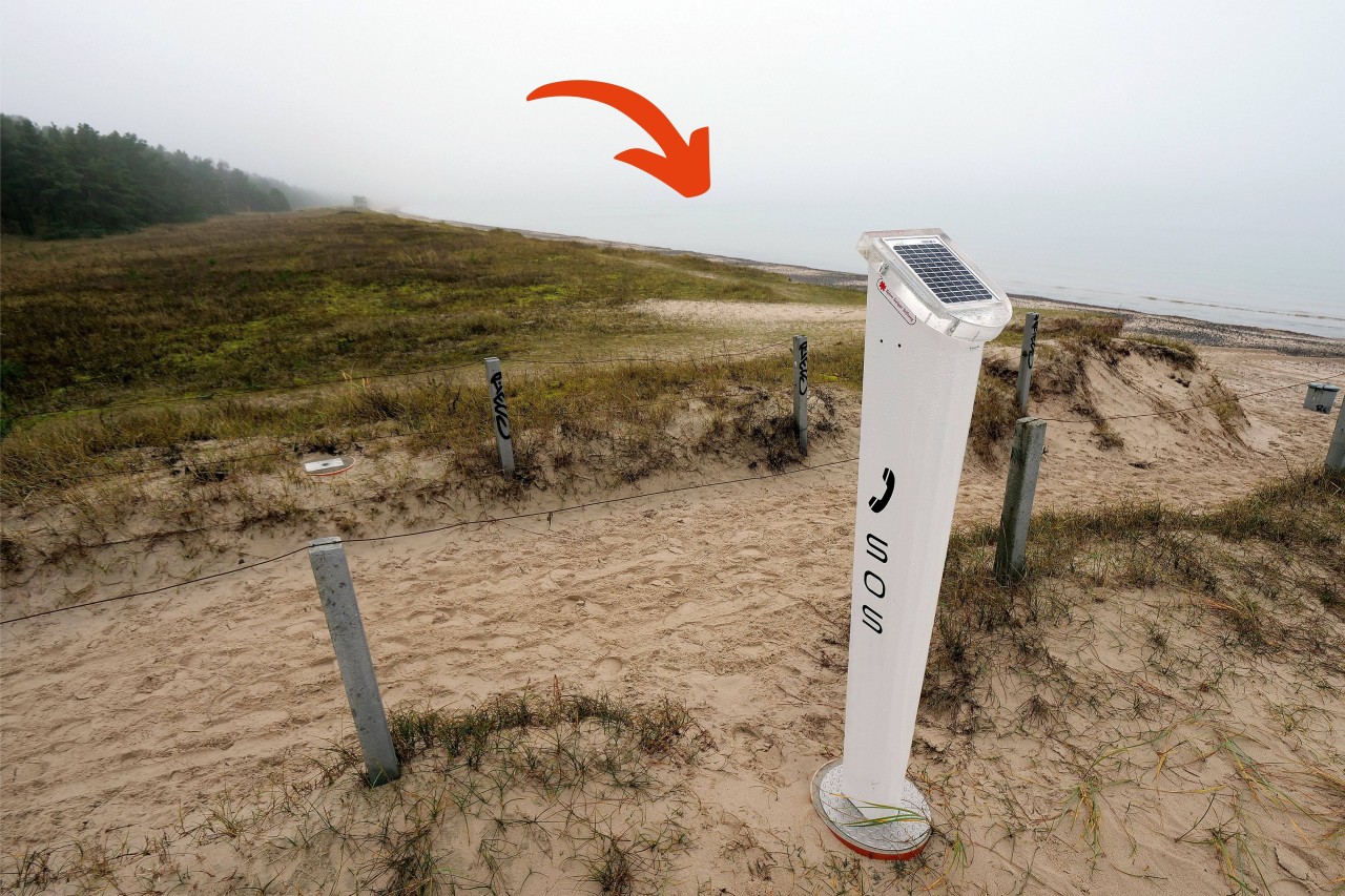 Eine Frau machte am Strand von Rügen einen schrecklichen Fund. 