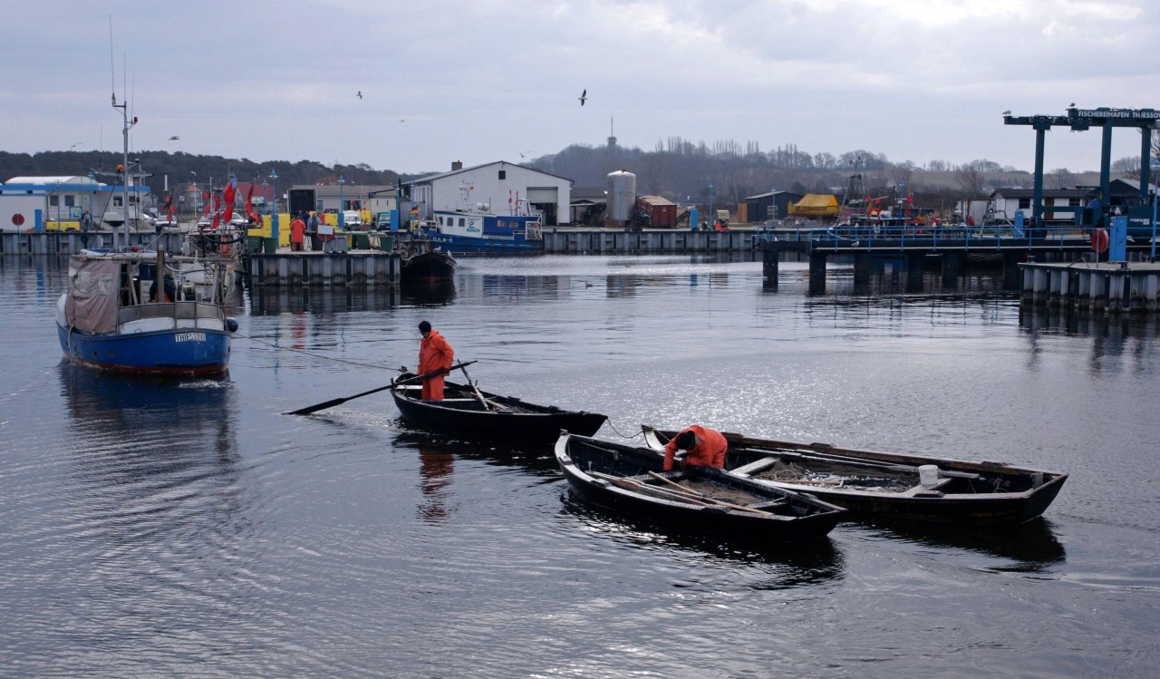 Kutter im Hafen von Thiessow auf Rügen. Da der Markt in diesem Jahr vorbei ist und auch das Fischrestaurant geschlossen hat, ist es ruhig in der Gegend.