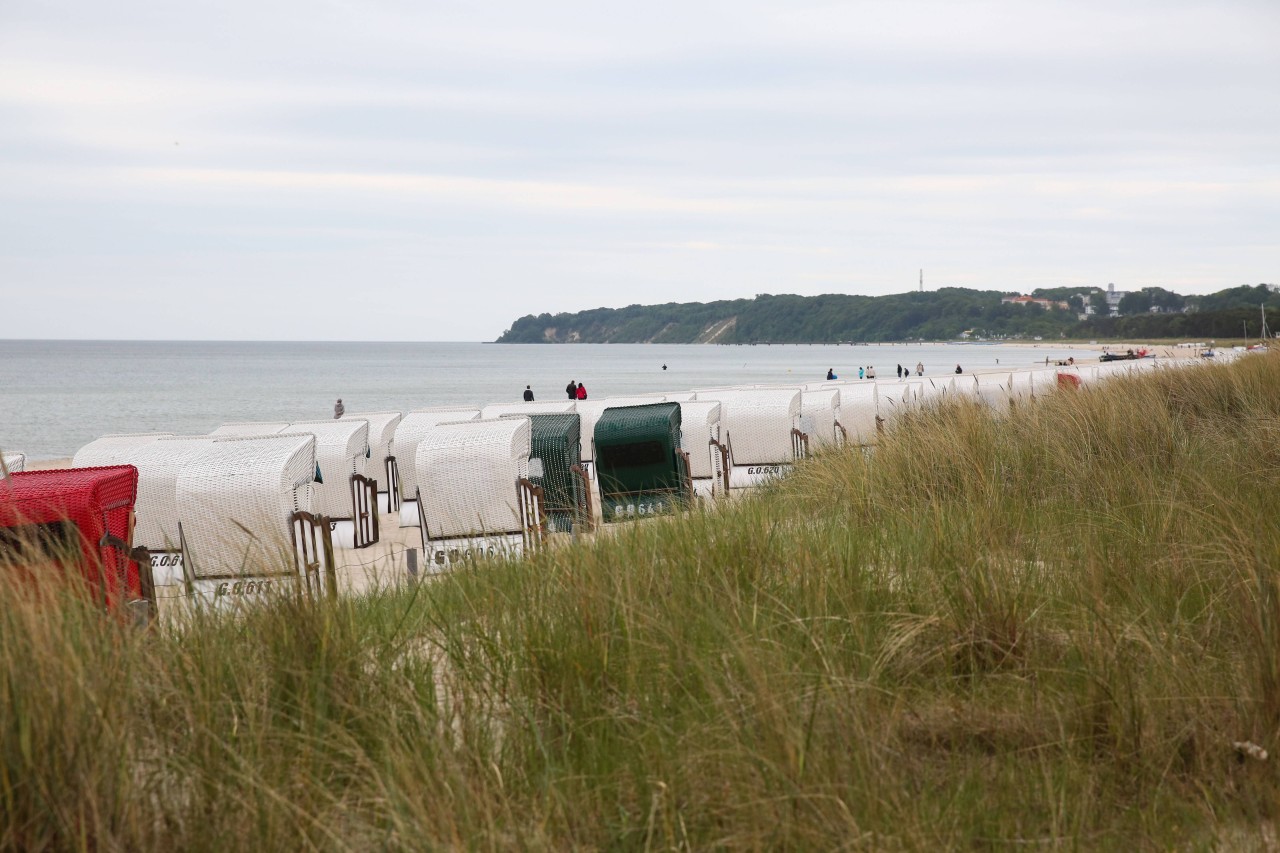 Rügen: Strandkörbe stehen in Baabe.