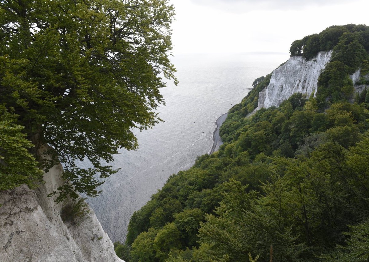 Rügen Steilküste Königsstuhl Hängebrücke