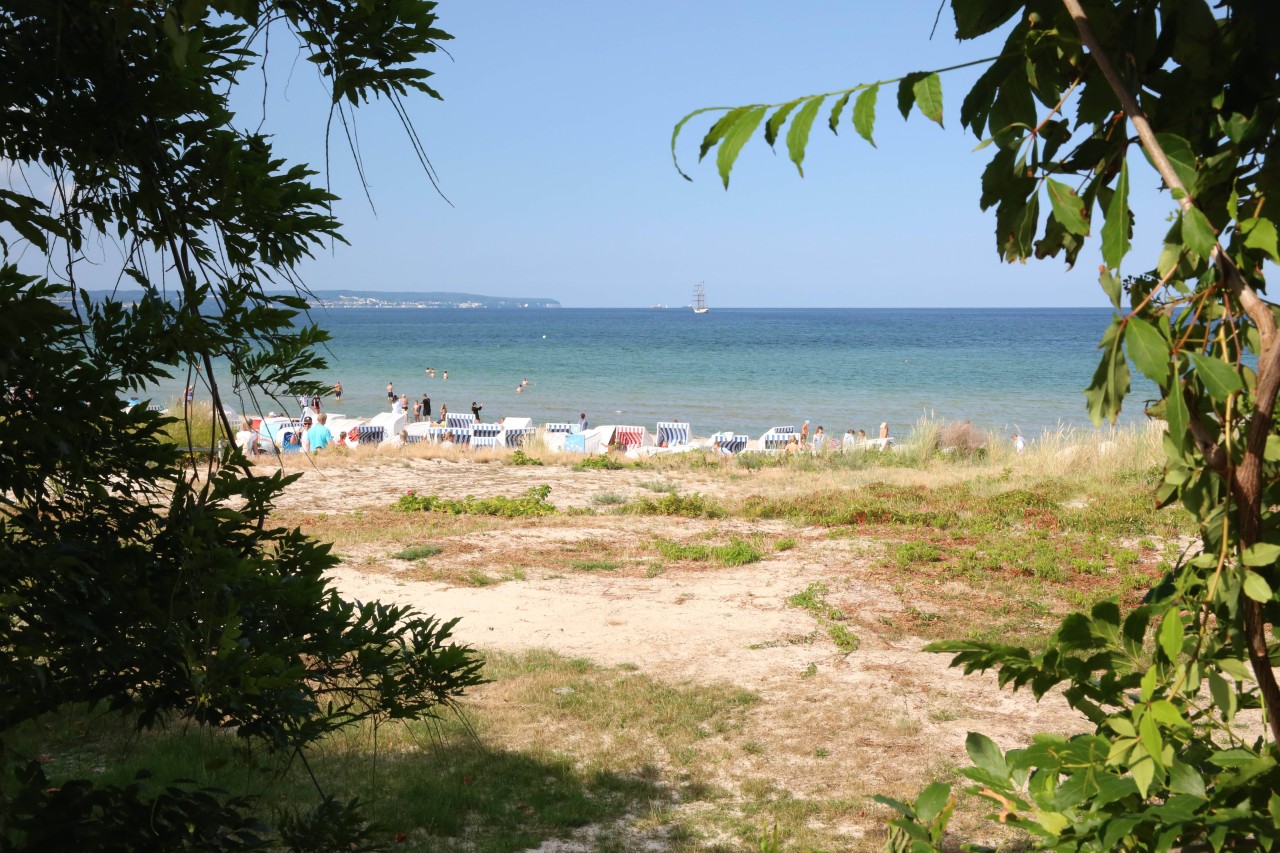 Rügen: Dieser Strand sieht zwar friedlich aus, sorgt aber immer wieder für viel Ärger.