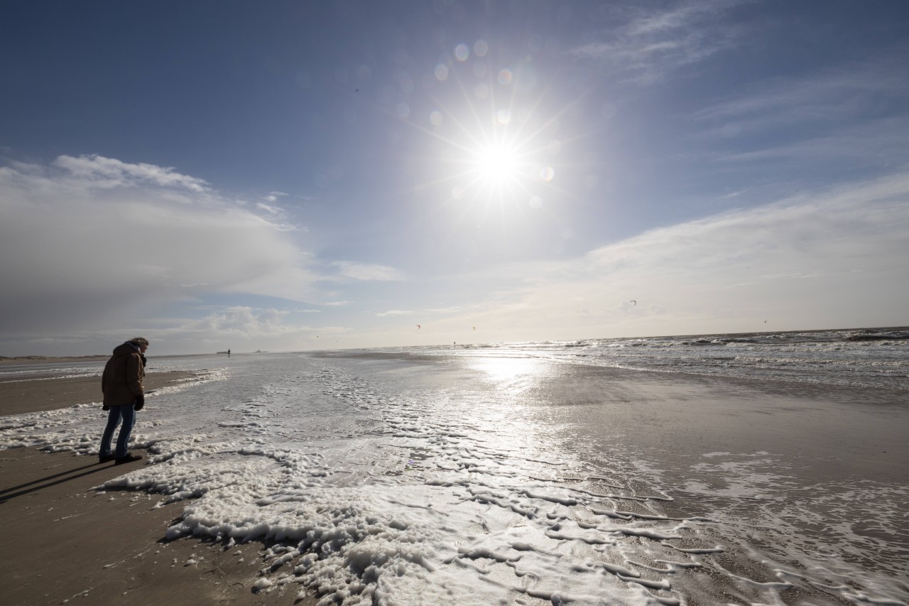 Besucher in Sankt Peter-Ording wunderten sich über die toten Tiere am Strand.