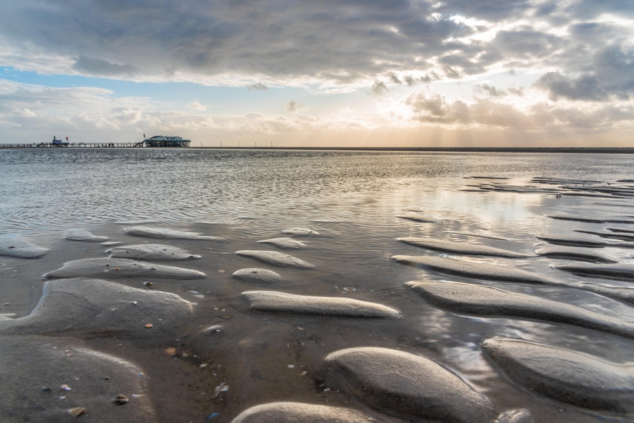 An den Küsten von Sankt Peter-Ording kann man vieles entdecken. 