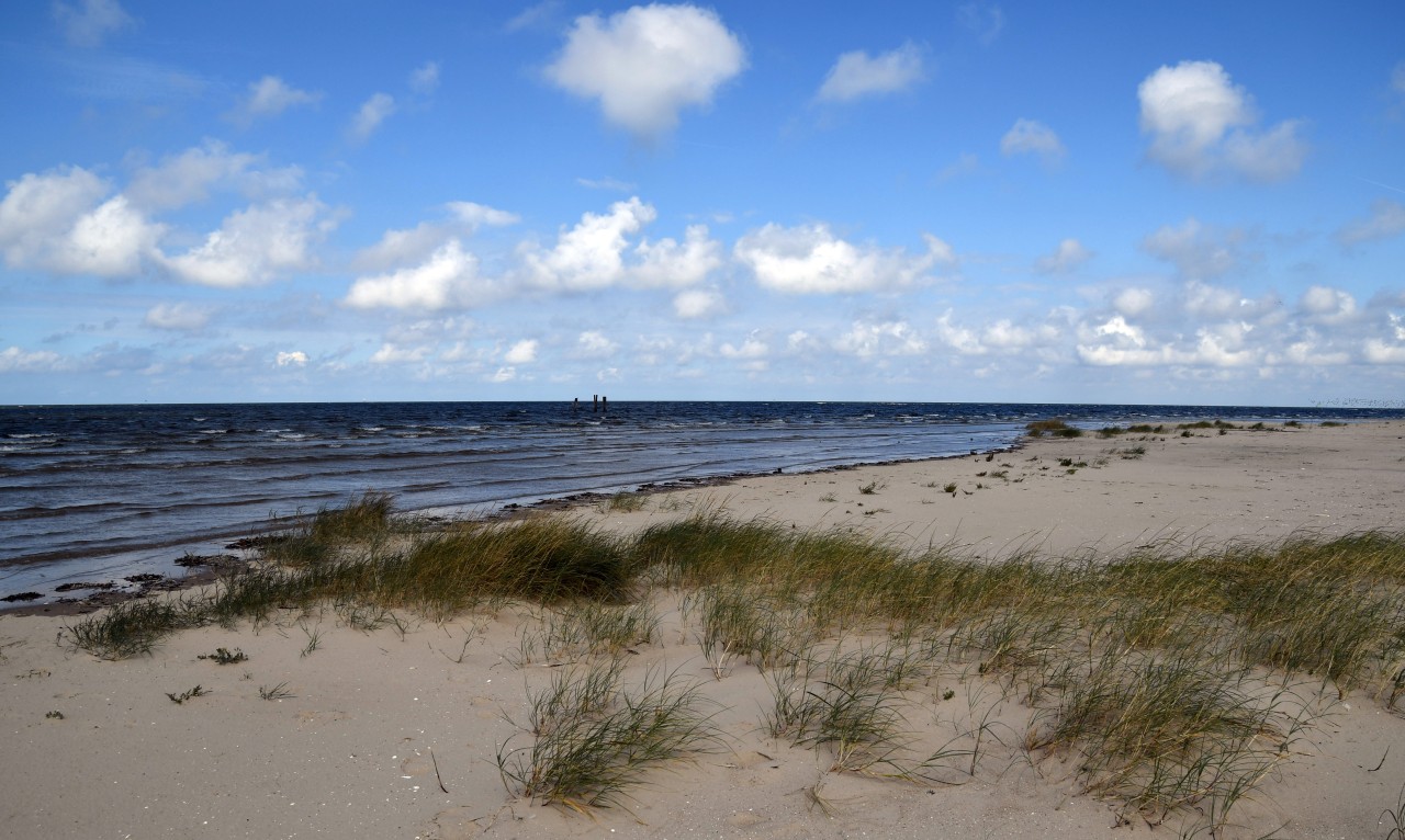 Der Strand der Vogelschutzinsel Scharhörn, die zu Hamburg gehört.