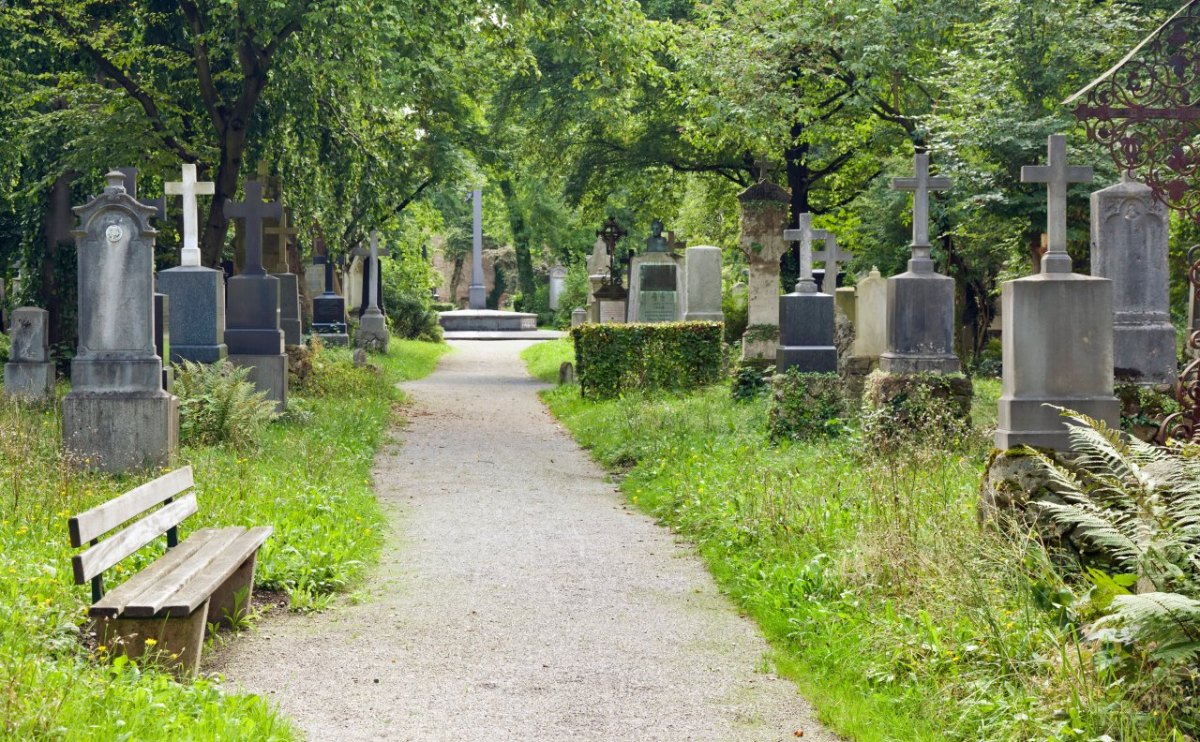 Schleswig-Holstein Kiel Elmershagen Friedhof Rehe.jpg