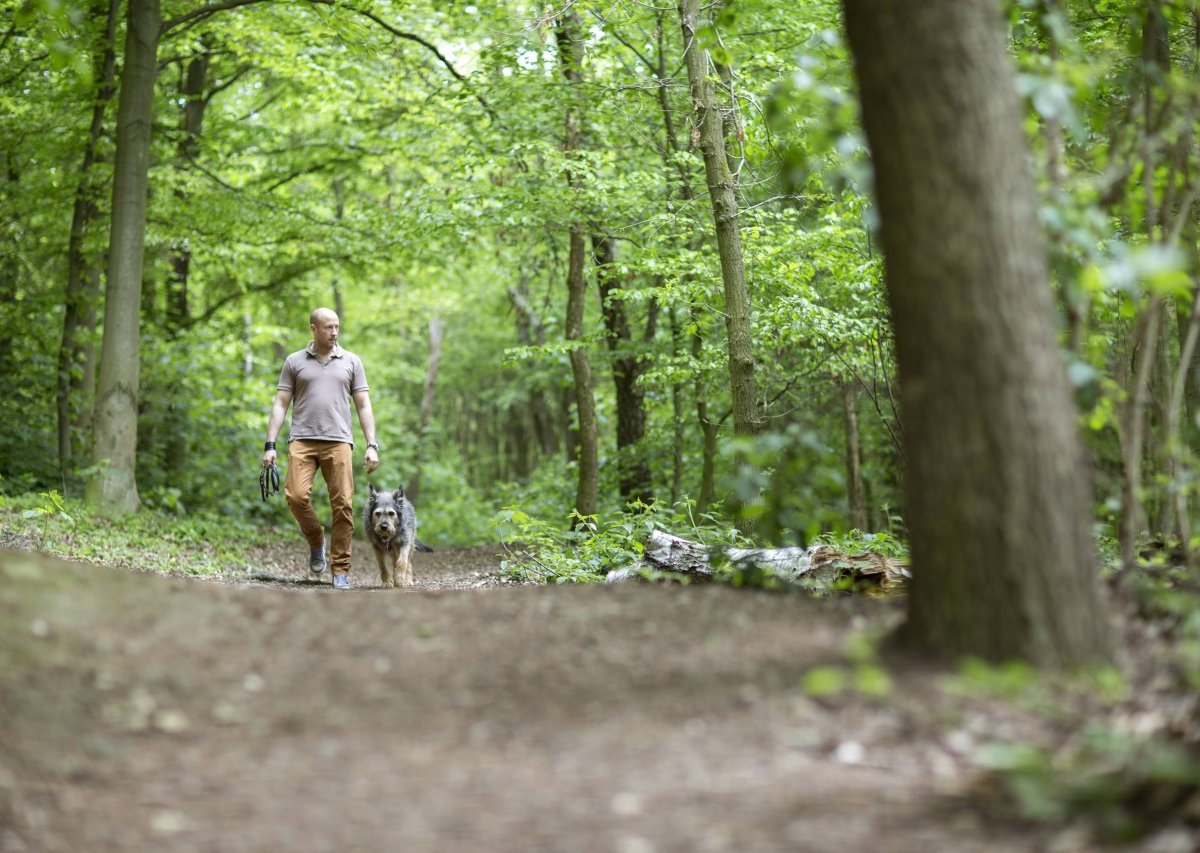 Schleswig-Holstein Lübeck Ostsee Hunde Hasser Hansa Park.jpg