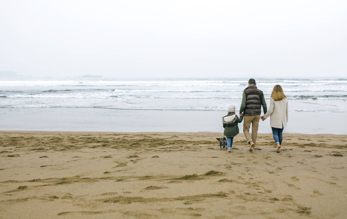 Schleswig-Holstein Strand Kinder Hunde Flensburg Ostseebad