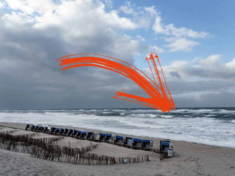 Sylt Nordsee Strand Erlebniszentrum Naturgewalten Wal Facebook Tier Zwergwal Naturschutz Urlaub Notfall